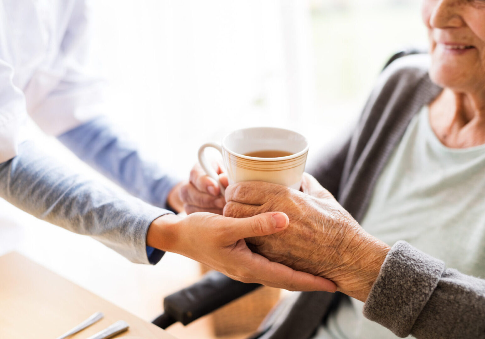 Health,Visitor,And,A,Senior,Woman,During,Home,Visit.